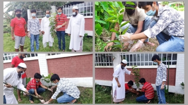 কেন্দ্রীয় ছাত্রলীগের নির্দেশে মুজিববর্ষ উপলক্ষে মানিকগঞ্জ জেলা ছাত্রলীগের বৃক্ষরোপন কেন্দ্রীয় ছাত্রলীগের নির্দেশে মুজিববর্ষ উপলক্ষে মানিকগঞ্জ জেলা ছাত্রলীগের বৃক্ষরোপন
