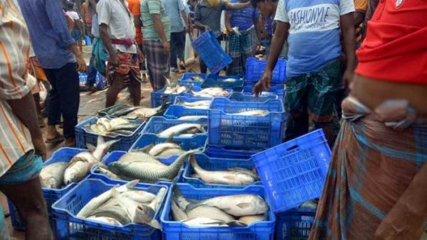 ৪০ টাকা কেজির রুই-কাতলা  কিনতে হুমড়ি খাচ্ছে মানুষ