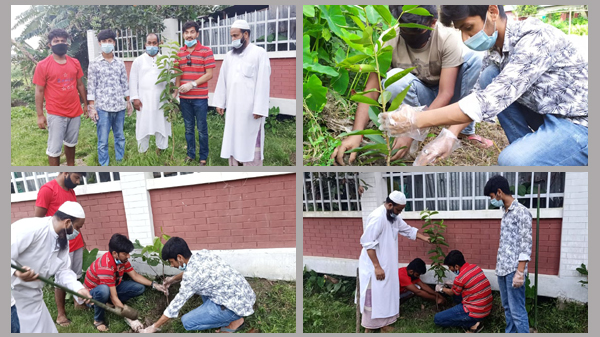 কেন্দ্রীয় ছাত্রলীগের নির্দেশে মুজিববর্ষ উপলক্ষে মানিকগঞ্জ জেলা ছাত্রলীগের বৃক্ষরোপন